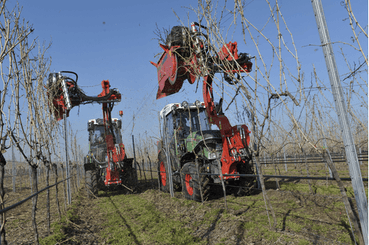 Entretien - Taille viti-arbo - Tireuse de bois