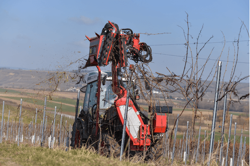 Entretien - Taille viti-arbo - Tireuse de bois