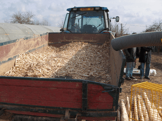 Matériel de ferme - Enfonces pieux - Ecorceuse de pieux ROBOPEL