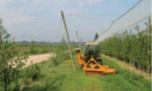 Entretien - Gyrobroyeurs - Tondeuse vergers repliable