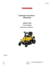 Herbes et entretien - Tondeuse autoportée diesel - Tondeuse autoportée RIDER TG 13/74 HLM