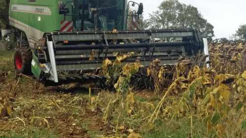 Récolte - Autre matériel de récolte - Plateau à tournesol