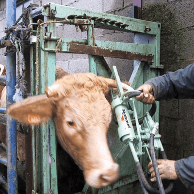 Matériel d'élevage - Cage, parc et couloir de contention - Ecorneuse à bovins hydraulique